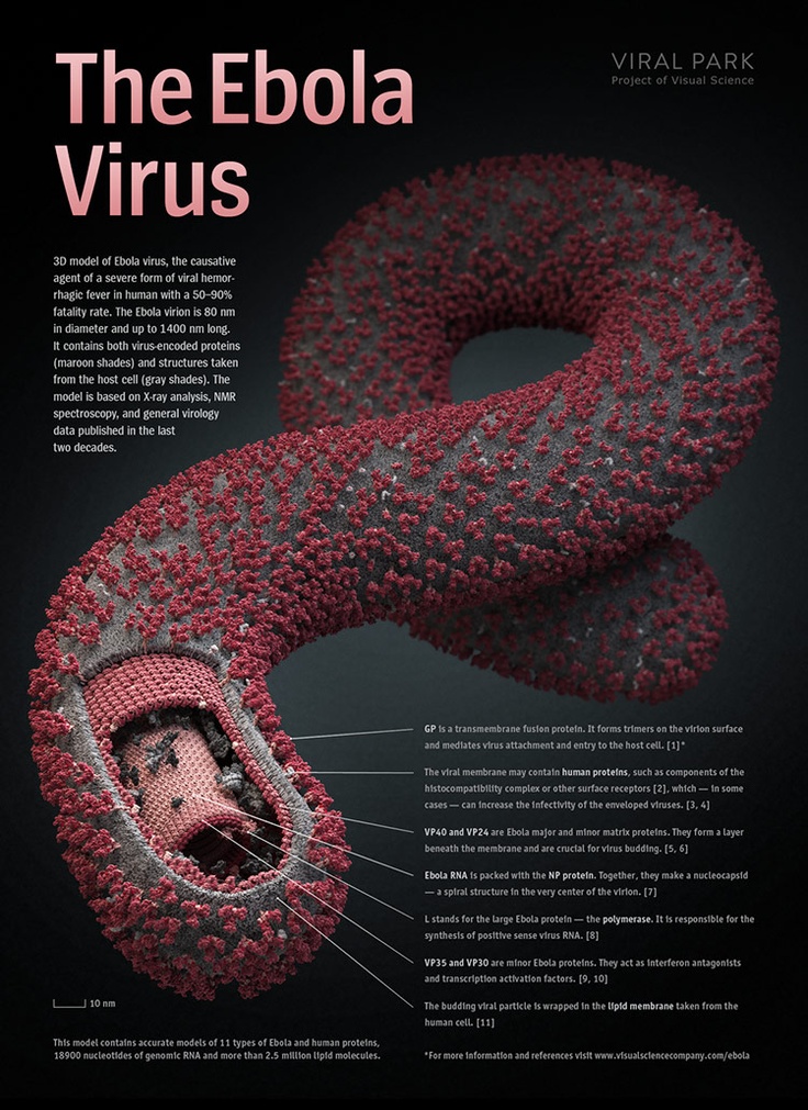 Ebola: The Definition of A&nbsp;Patent